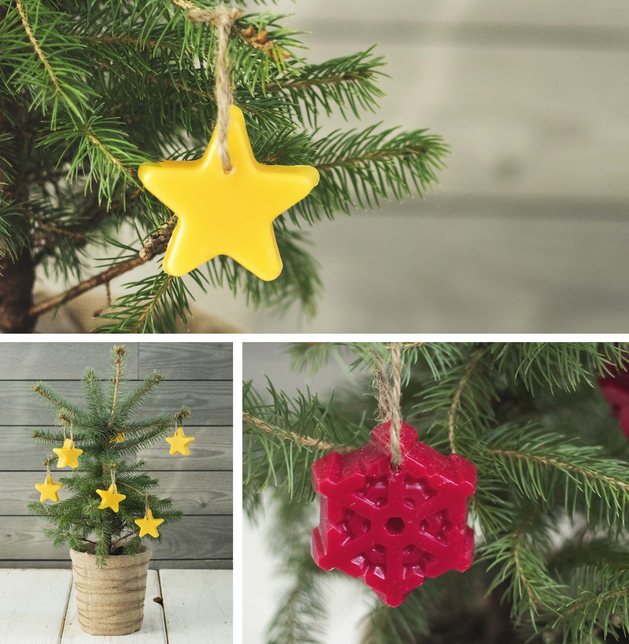 Beeswax Christmas tree star ornament hanging on a pine tree branch.