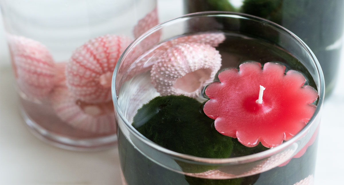 Floating candles with urchins and moss balls.