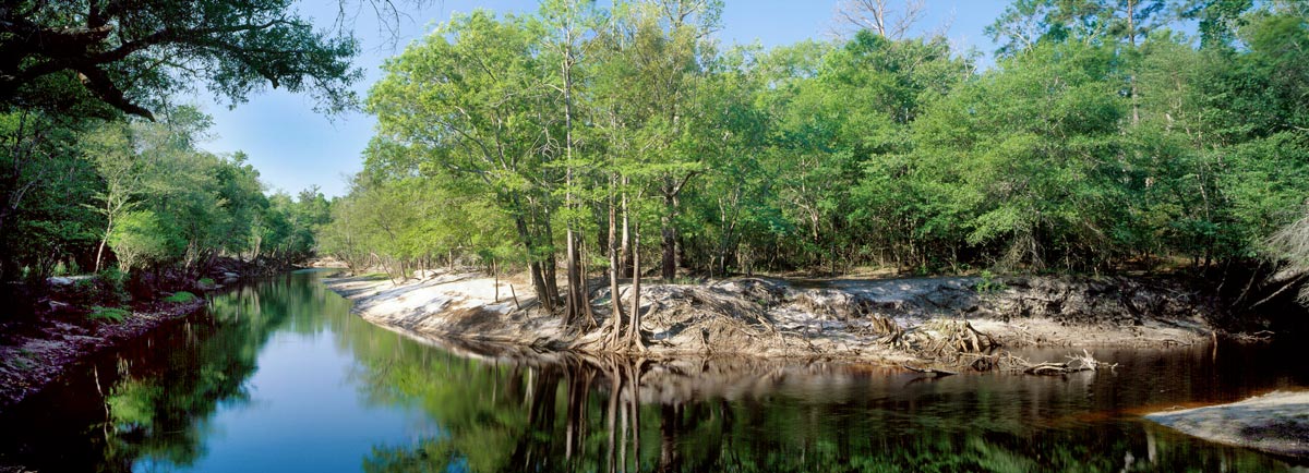 Carbon Neutral Alligator River North Carolina Conservation Project