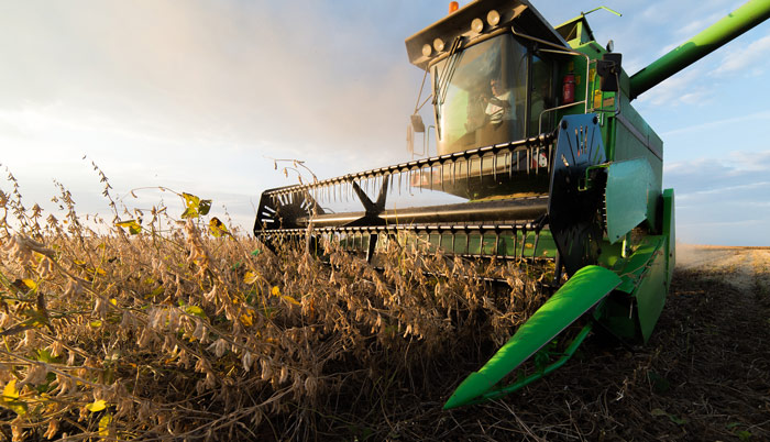 Large tractor harvesting soy beans in Illinois. 