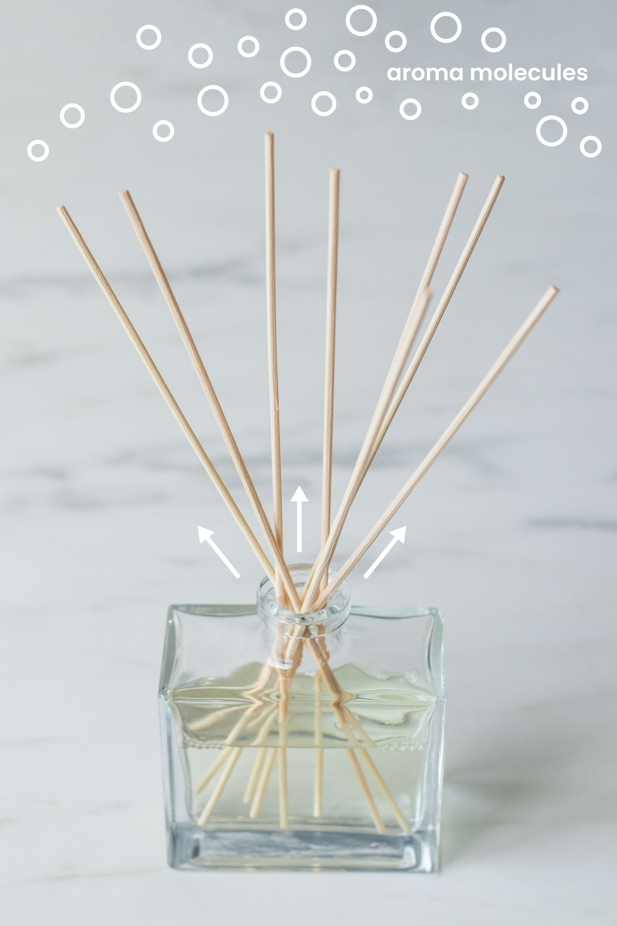 Reed Diffuser with diagram showing disbursement of aroma chemicals. 