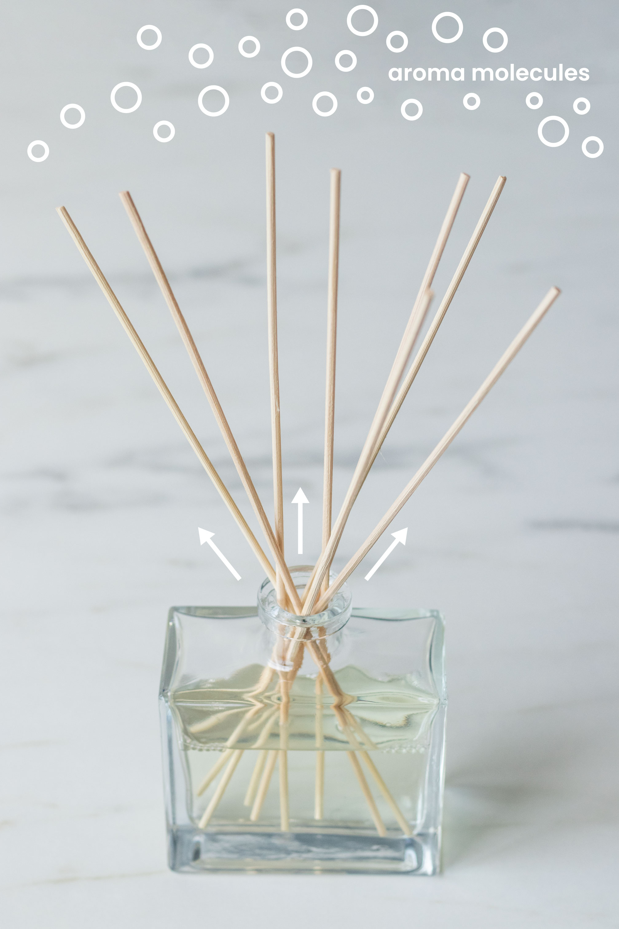 How to Make Reed Diffusers - CandleScience