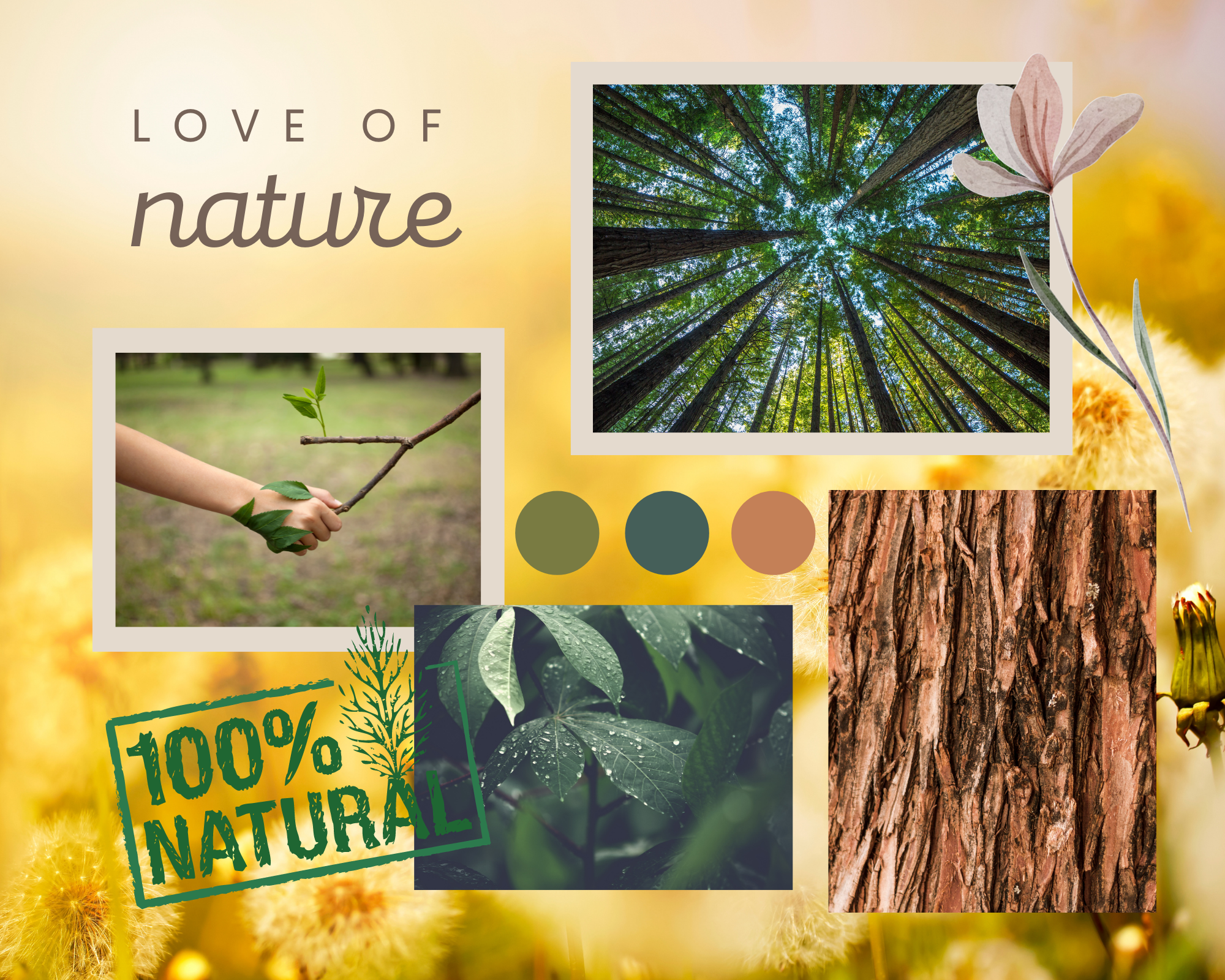 Love of Nature Mood Board