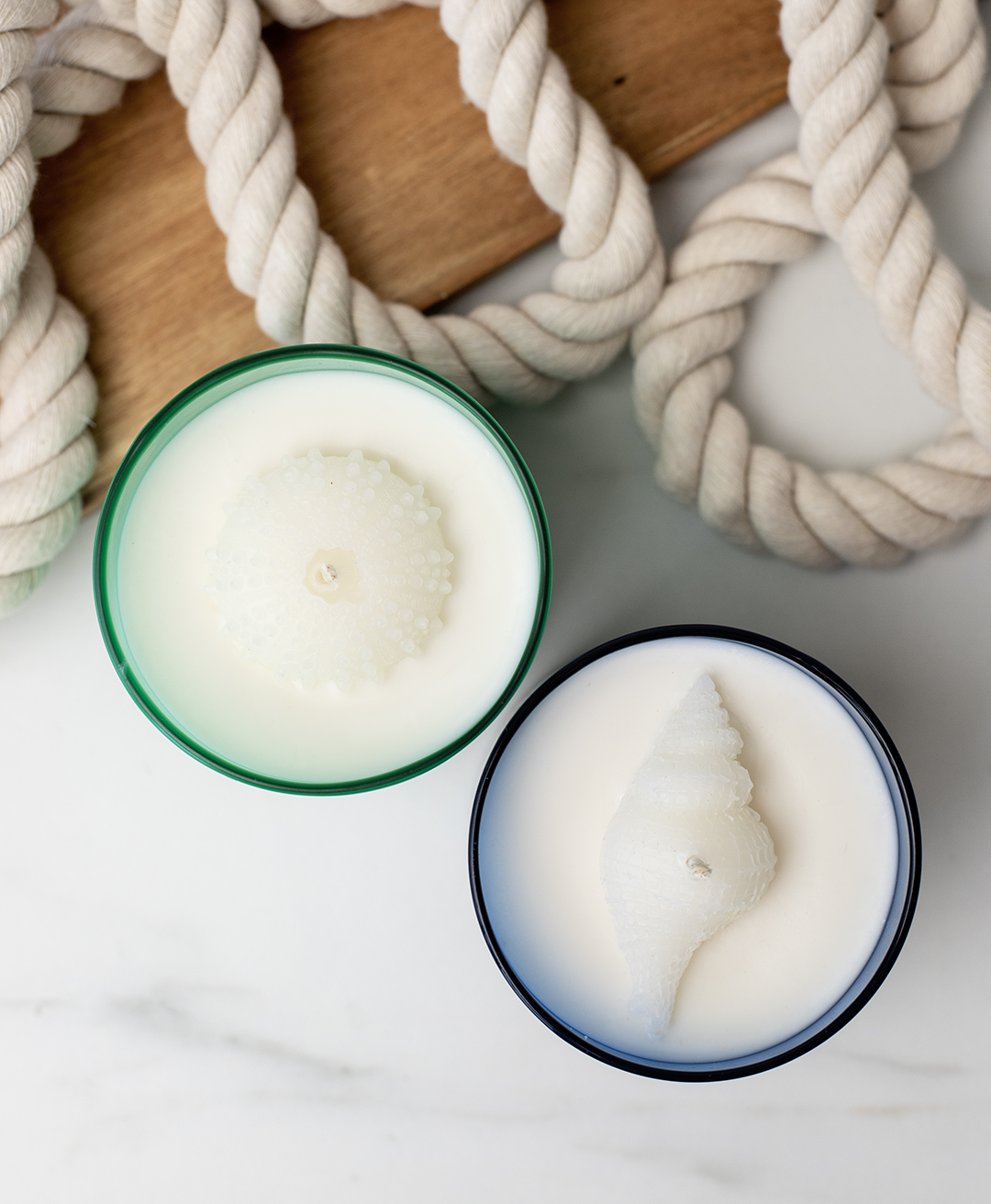Coastal collection candles with white seashell embeds.