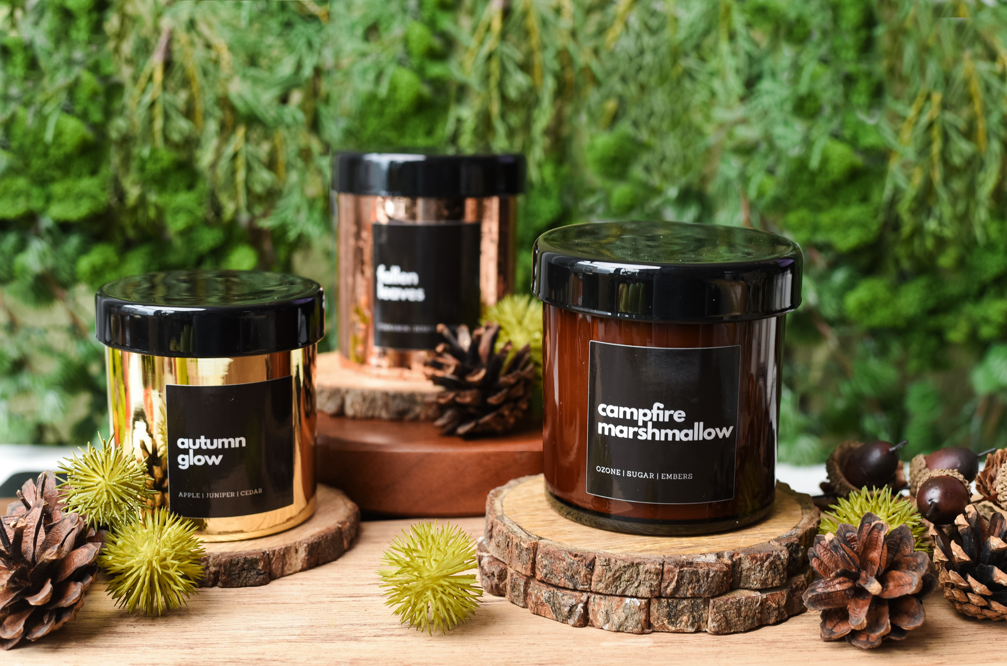 Fall inspired candles in woods.