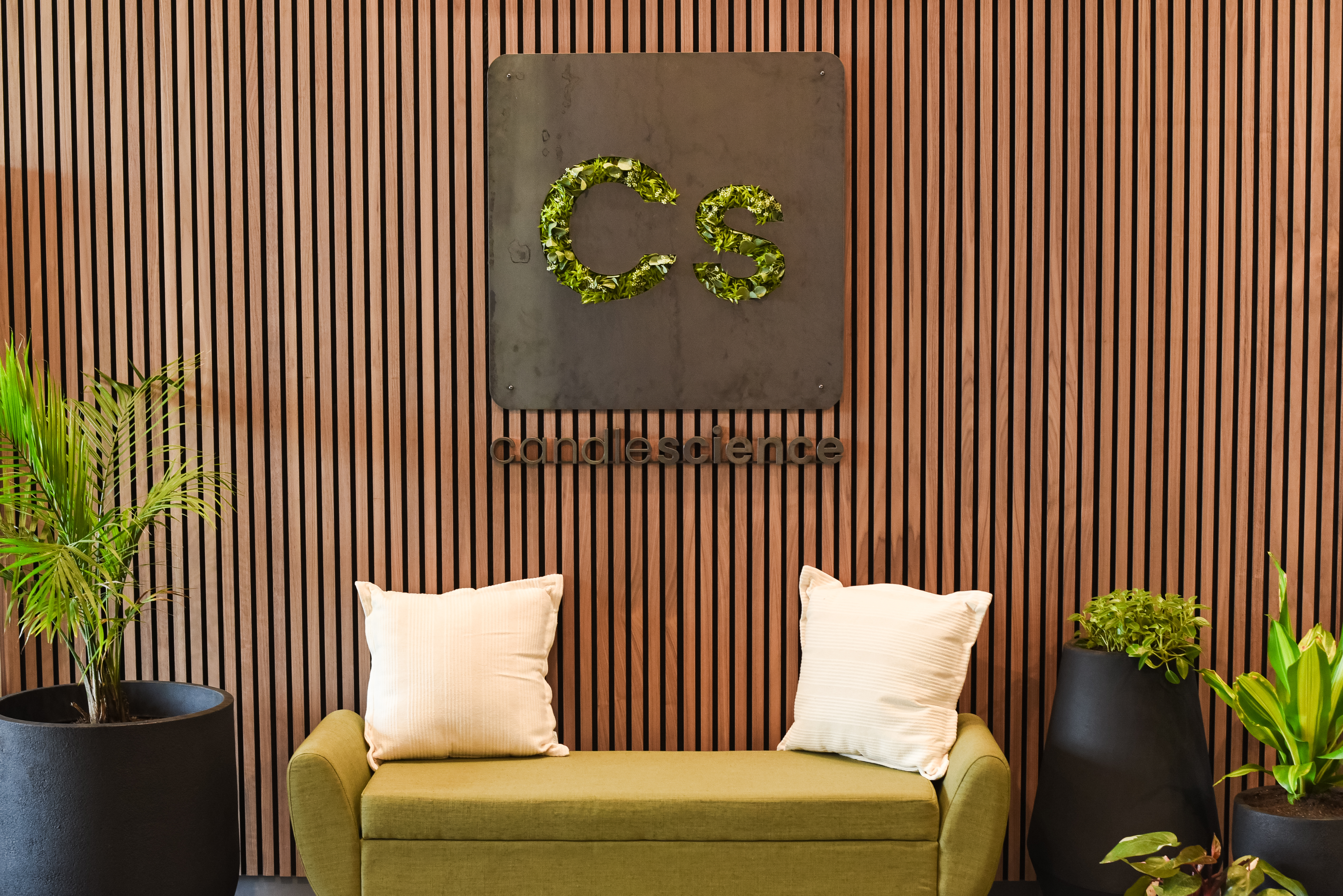 A green couch with two white pillows on each side of it. Planters with green tropical plants surround the couch, and a sign on the wall reads "Cs, candlescience."