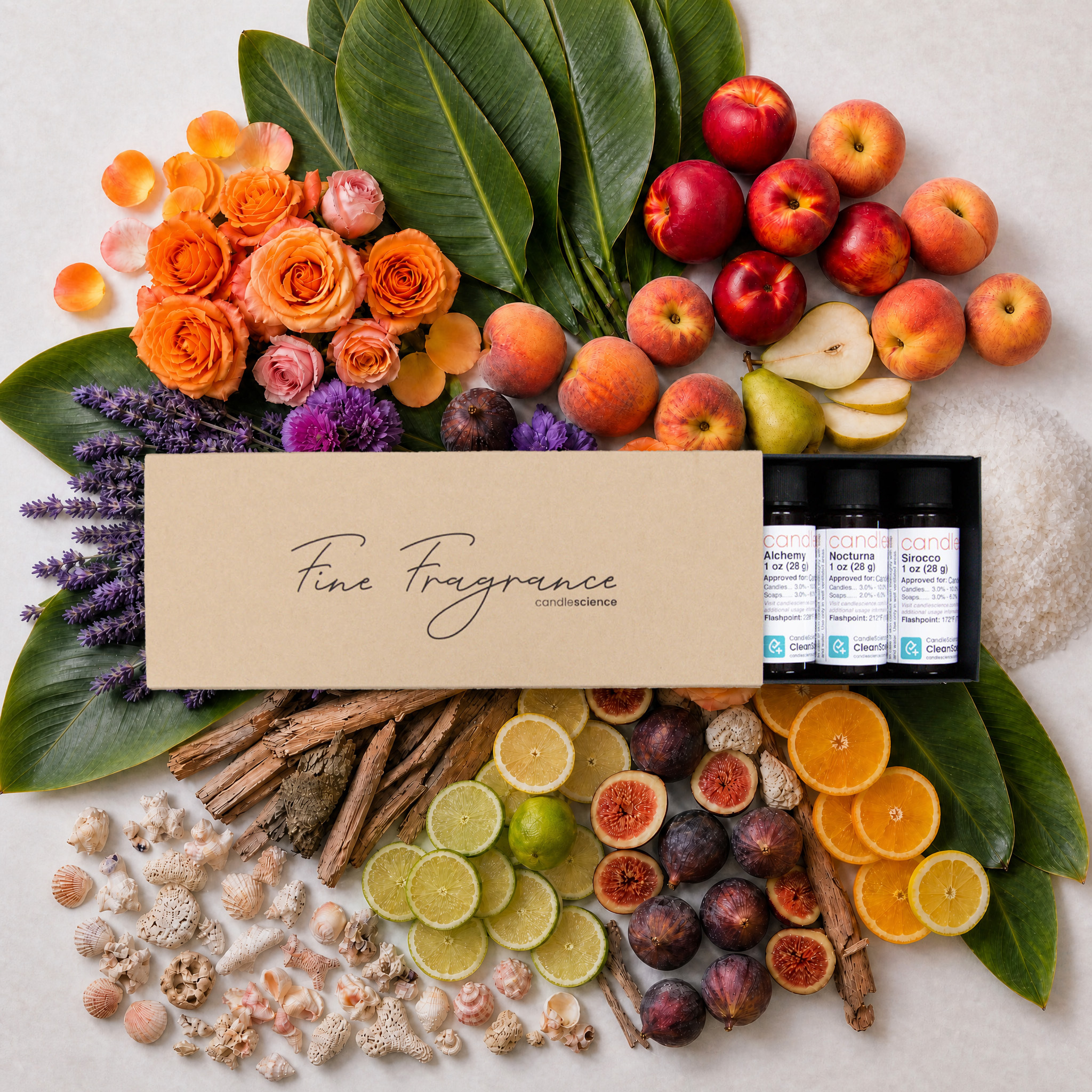 Fine Fragrance Sampler on fragrance notes.