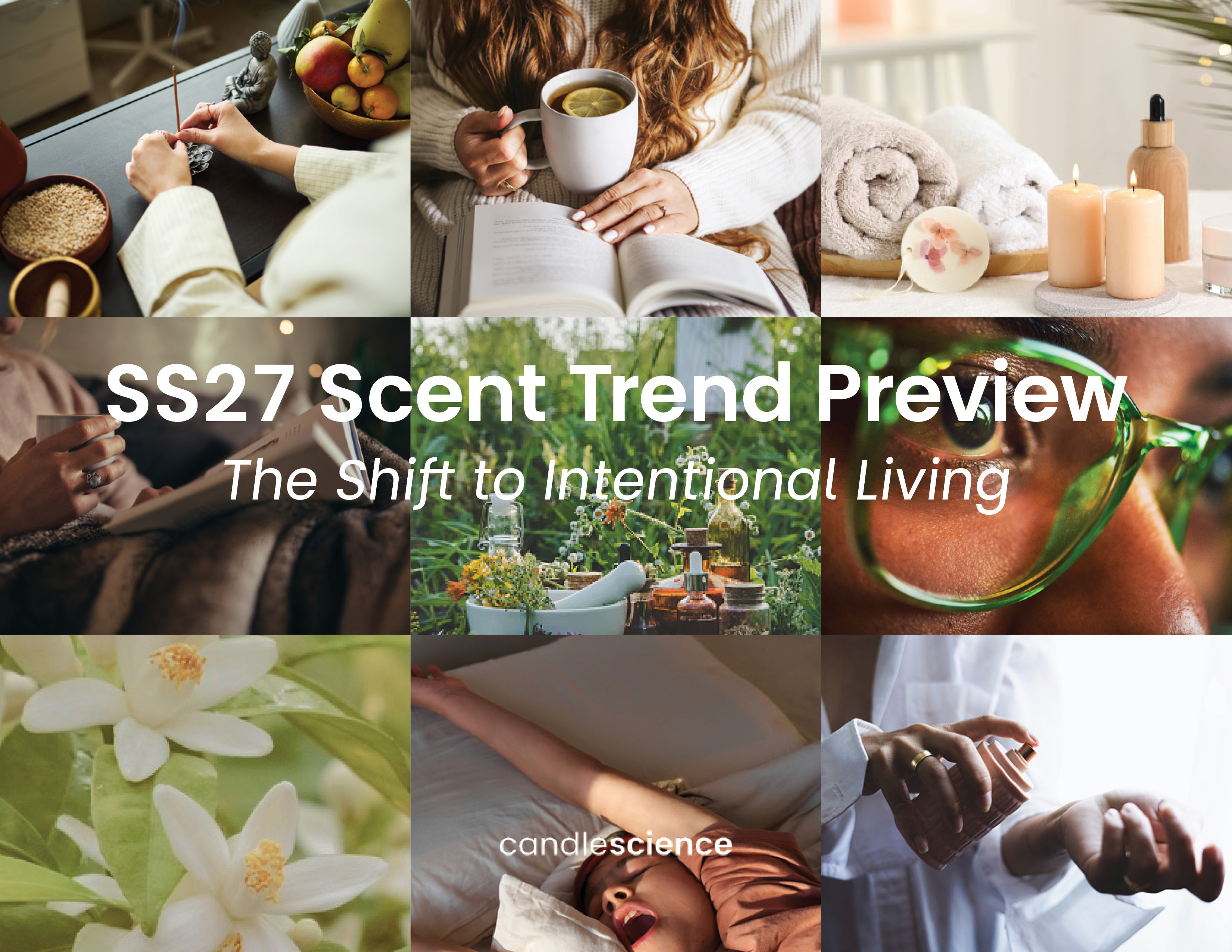 CandleScience 2025 Holiday Shopping Trends Report