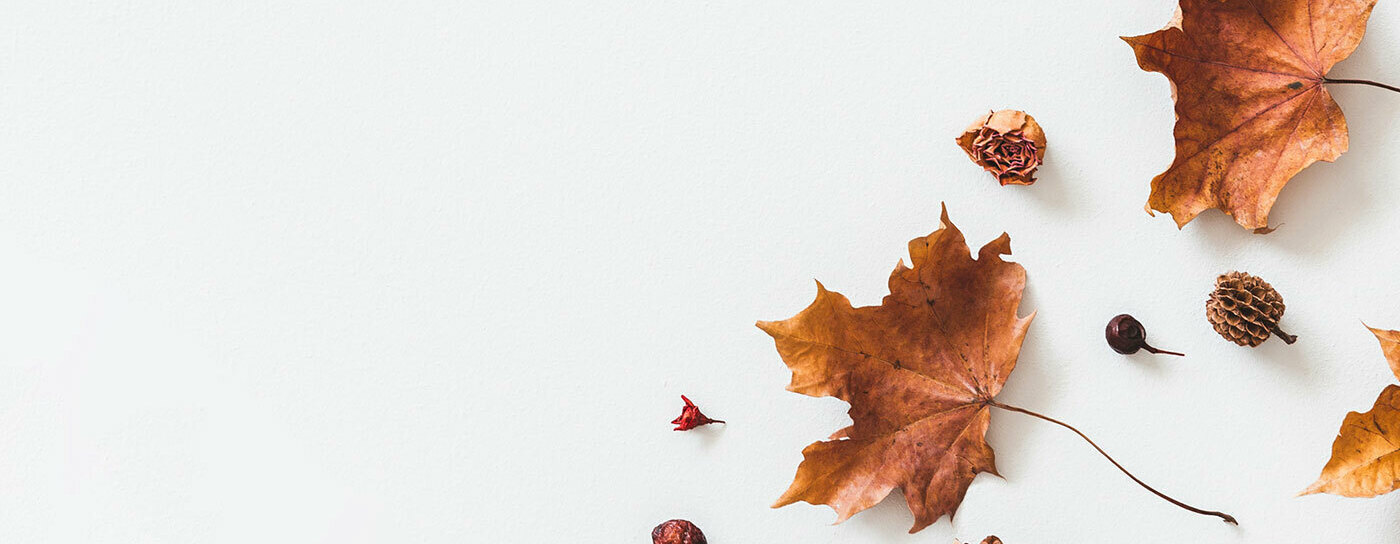 Fall fragrance oils.