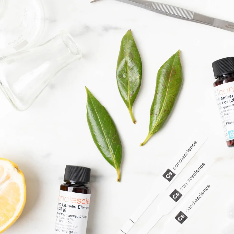 A beaker, green leaves, candlescience branded blotter strips, and fragrance bottles on a marble countertop.